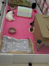 Rigid Tunnel