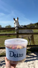 Seau de bonbons pour chevaux - Complet