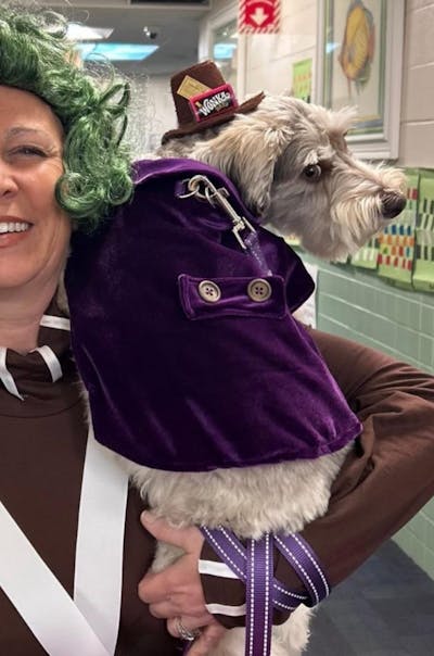 Set of 48 wrappers and golden tickets - Non-Personalized Miniature Wonka Bar Candy Wrapper