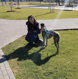 Arnés 3 Puntos Anti-Escape