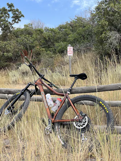 Yelli Screamy – Canfield Bikes