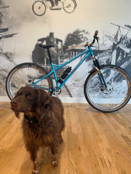 Nimble 9 – Canfield Bikes