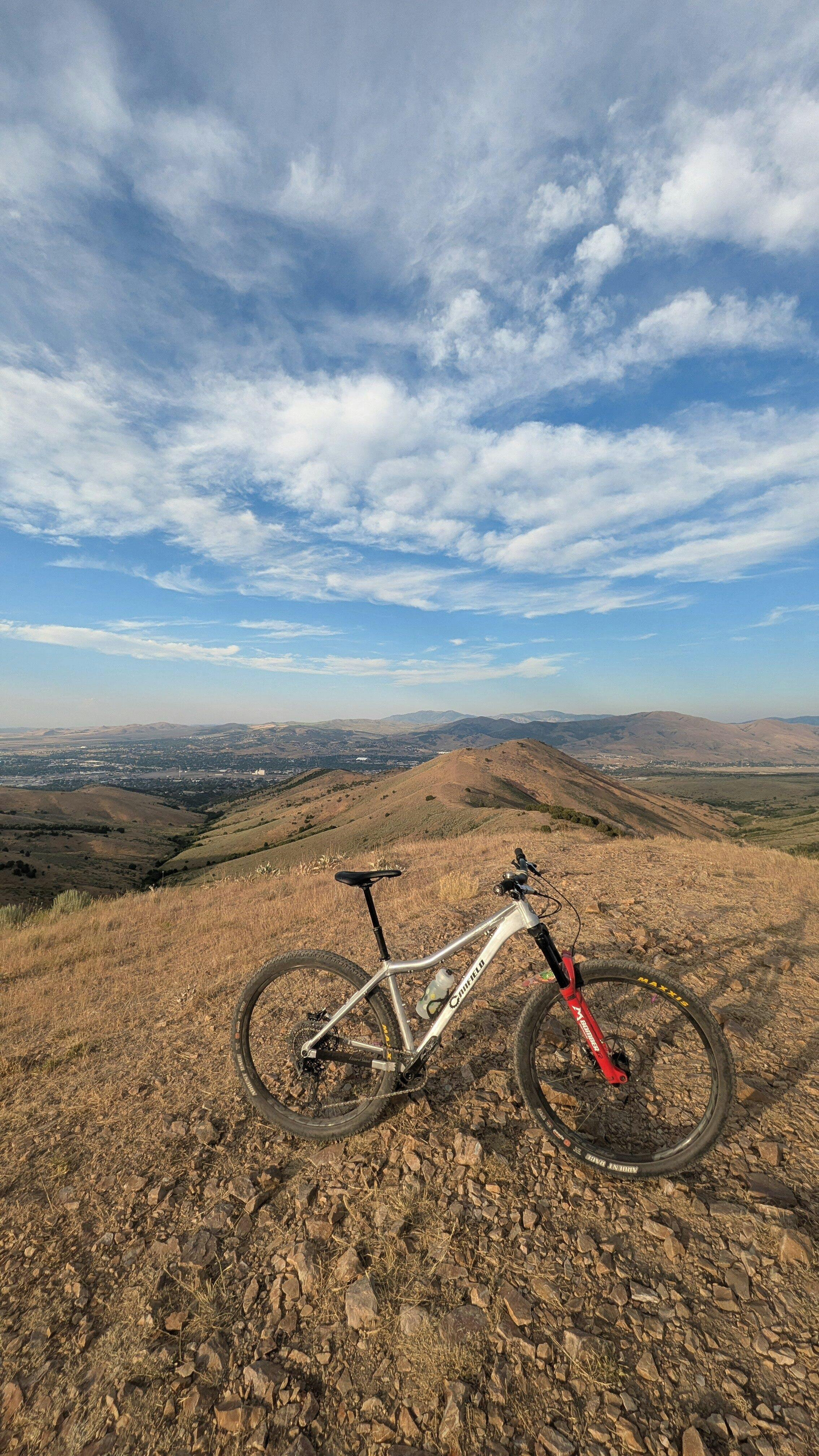 Yelli Screamy – Canfield Bikes