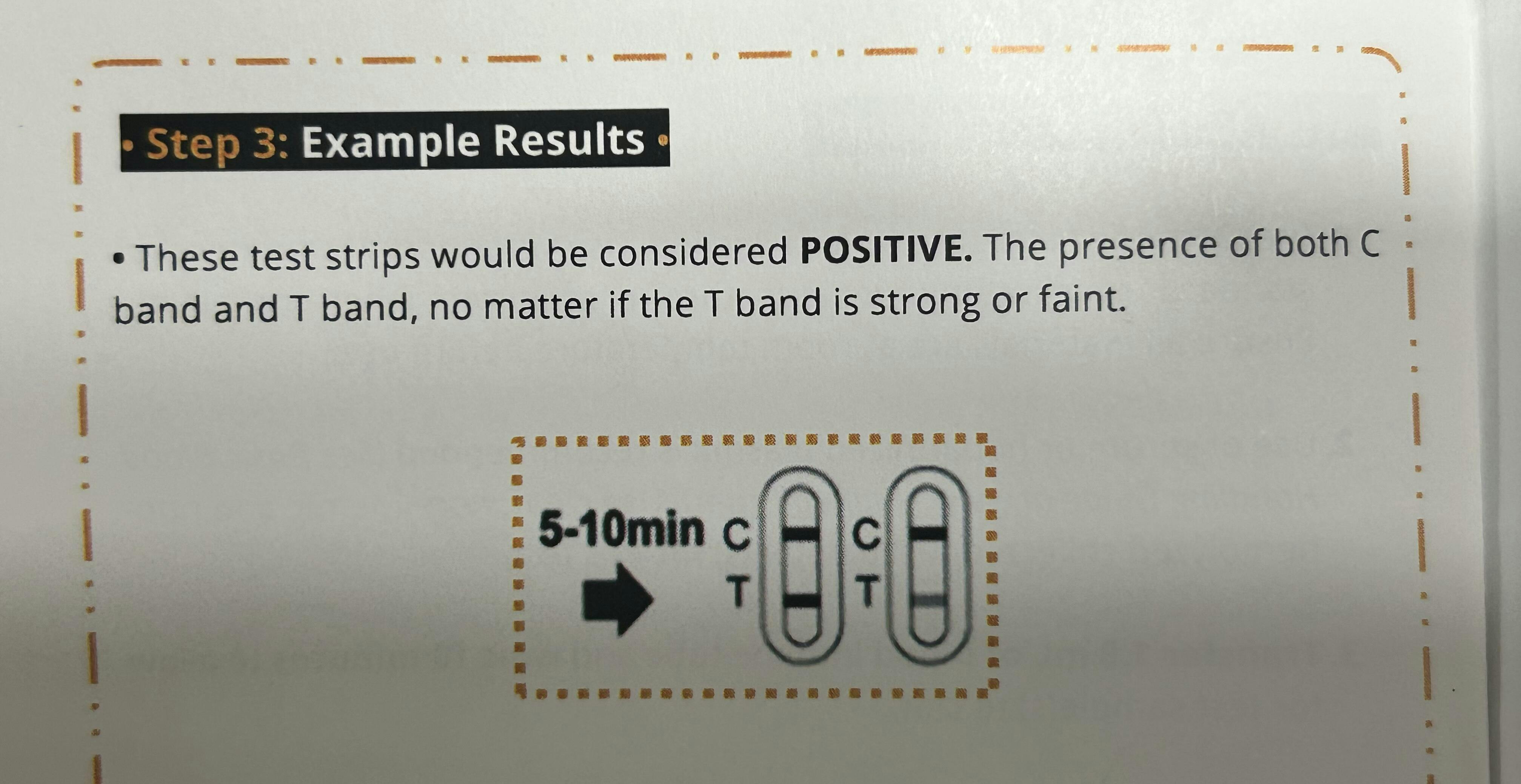 pregnancy test for dogs