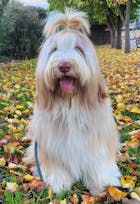 The Ultimate Gut Bundle