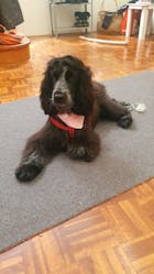 Stress Reduction Care Pack