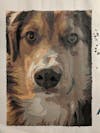 Custom Paint by Numbers Kit