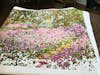 The Artist's Garden at Giverny - Claude Monet