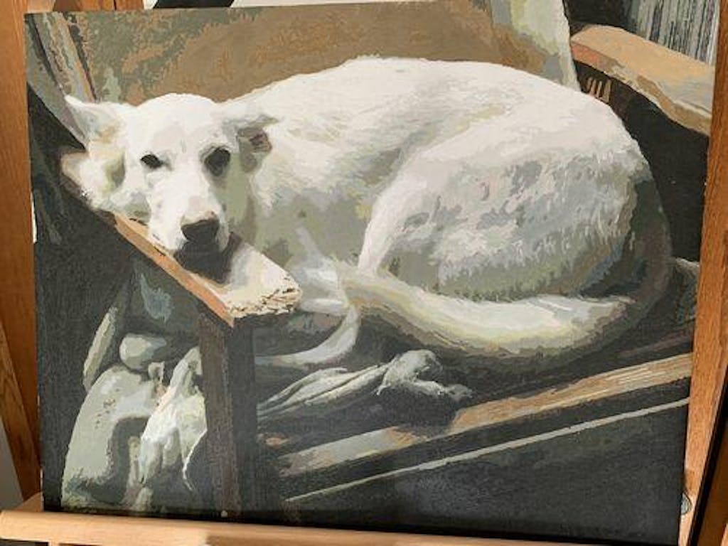 Custom Paint by Numbers Gift Ideas Canvas by Numbers