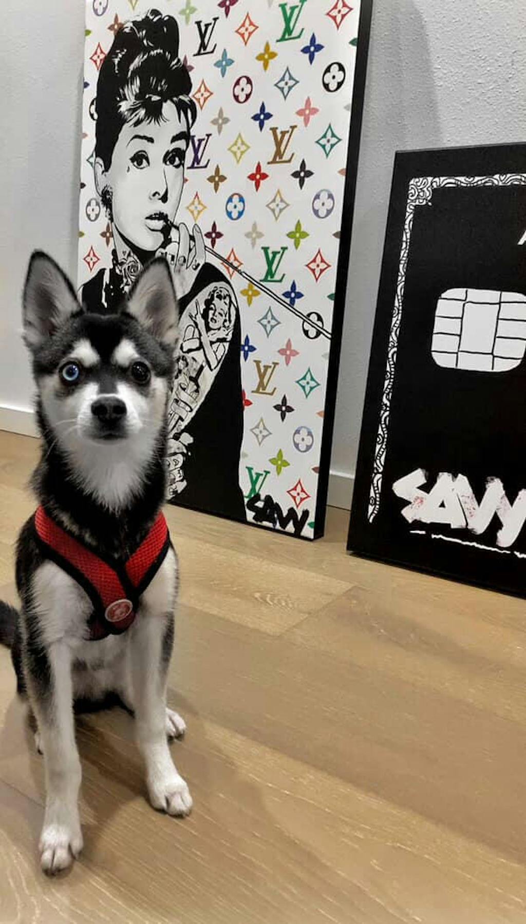 Breakfast At Tiffany's LV | Obraz