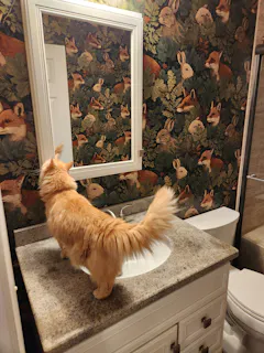 Customer photo from Suzanne Pennell's Canvas & Ivy review