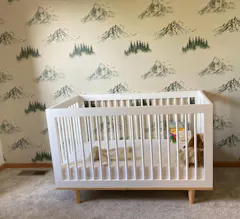 Customer photo from Etsy customer's Canvas & Ivy review