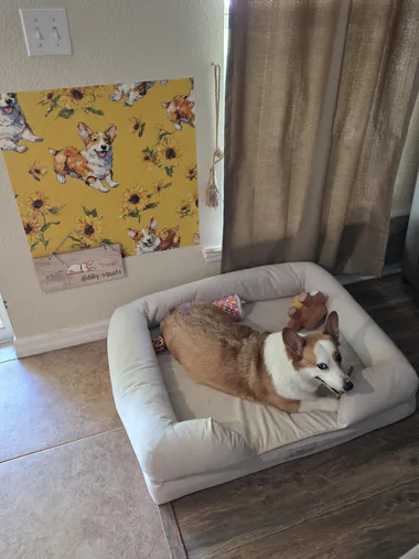 Customer photo from Elisabeth Richter-Belote's Canvas & Ivy review