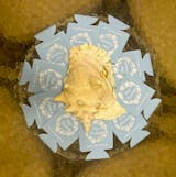 Capital City Commerce