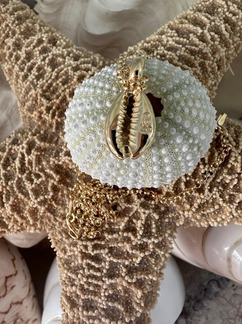 KAURI - Muschelkette