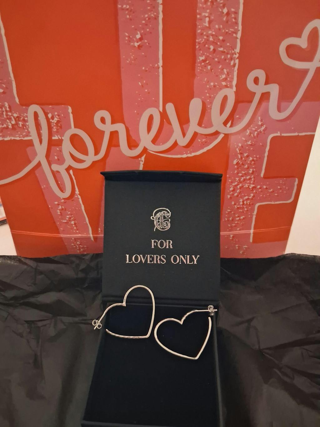 VALENTINA Ohrringe  - Herz Creolen