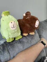 User picture