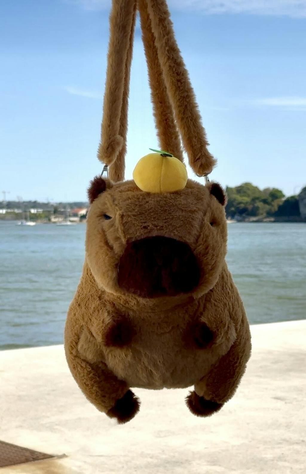 Capybara Plush Backpack With Fur Straps