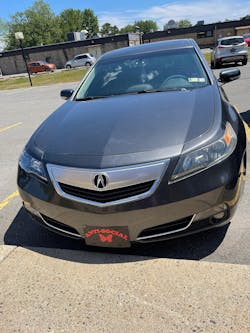 Pink Anti-Social Butterfly License Plate