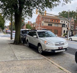 Anti-Social Butterfly License Plate