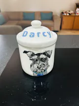Pet Treat Jar
