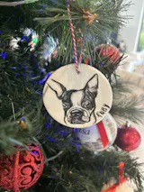 Christmas tree ornaments