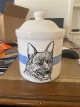 Pet Treat Jar