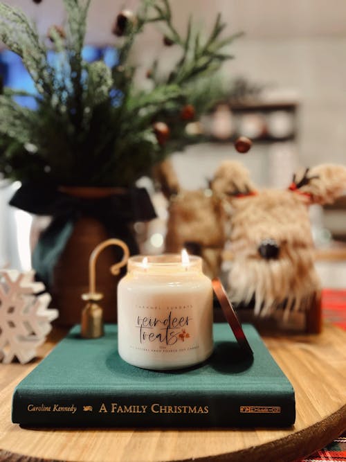 2 Wick Reindeer Treats Soy Wax Candle