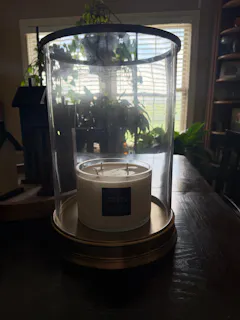 Review picture