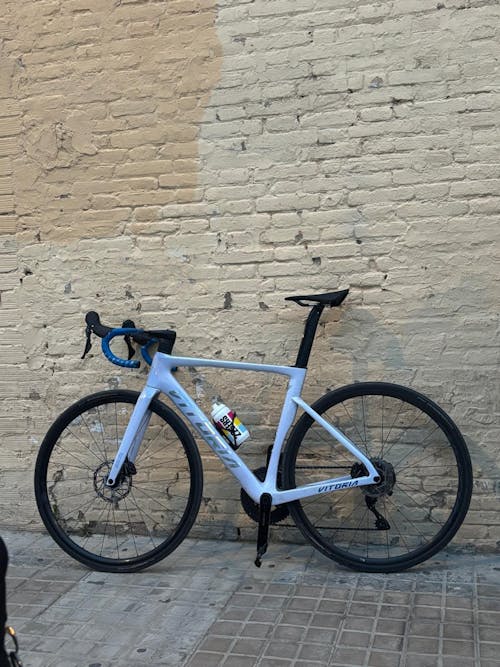Alquiler Bicicleta Carretera Valencia