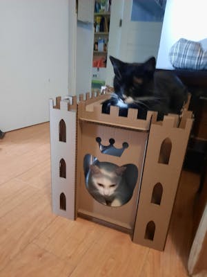 Cat Castle