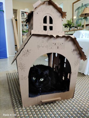 Gingerbread Cat House