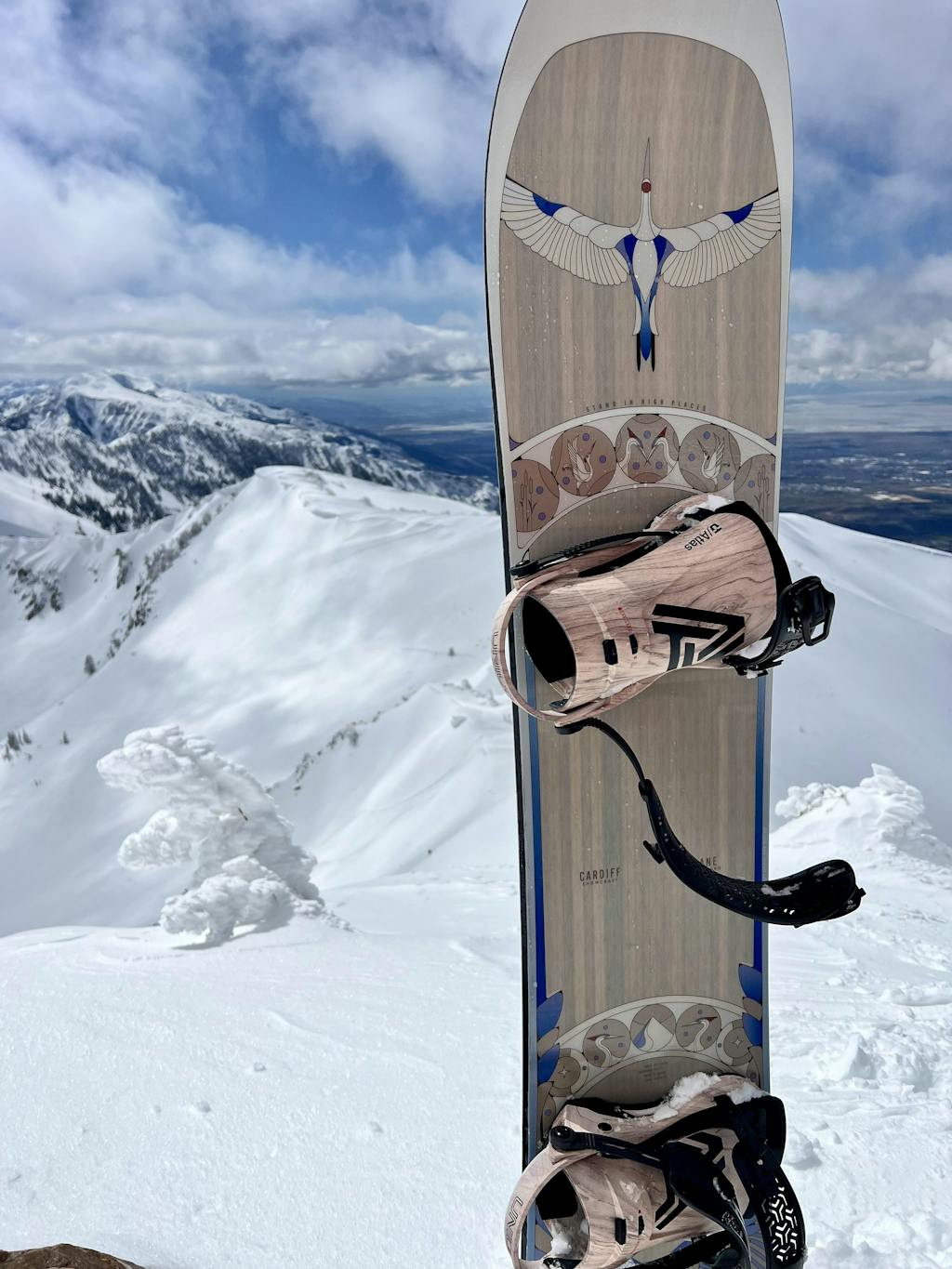 Crane Enduro Snowboard – CARDIFF SNOWcraft