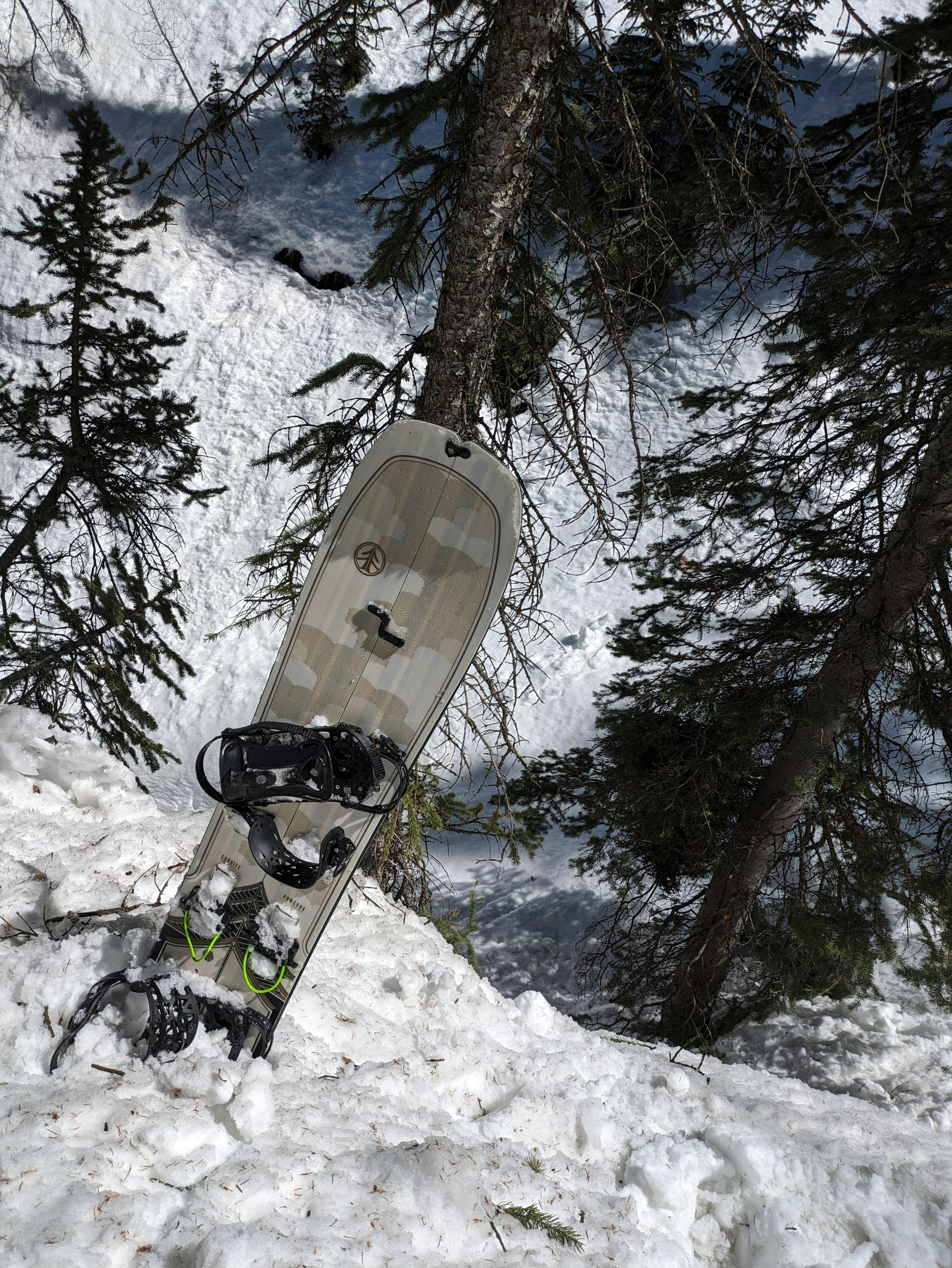 Powgoda Enduro Splitboard: Freeride Power – CARDIFF SNOWcraft
