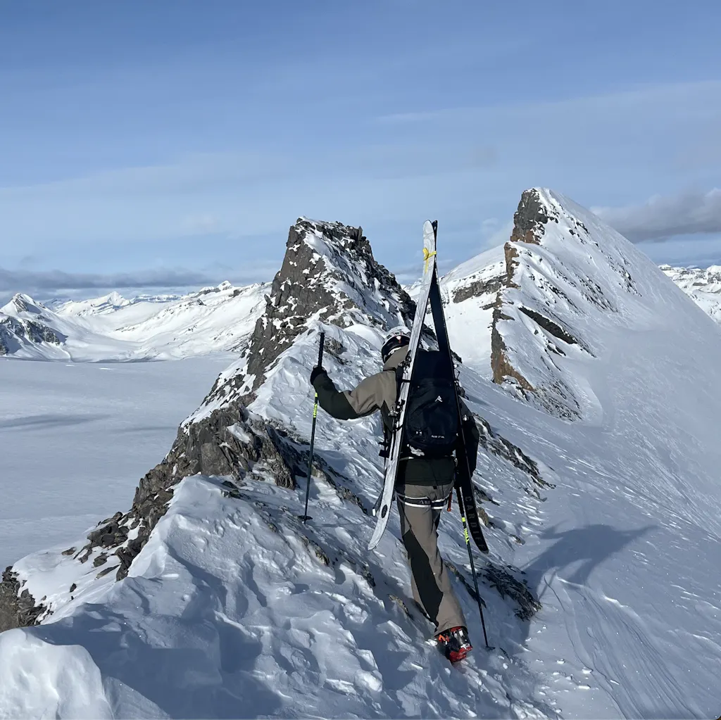 Goat Pro Carbon Ski – CARDIFF SNOWcraft