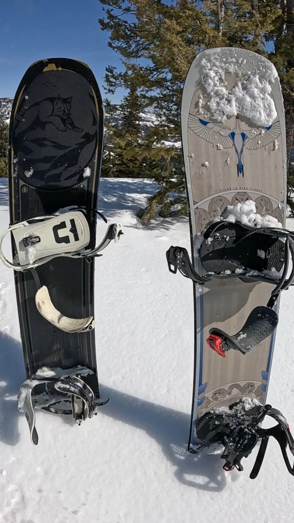 スノーフィート Amazon.co.jp: Snowfeet