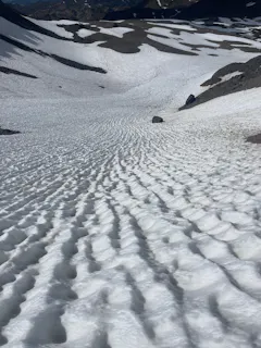 Lynx Splitboard: Conquer Powder – CARDIFF SNOWcraft