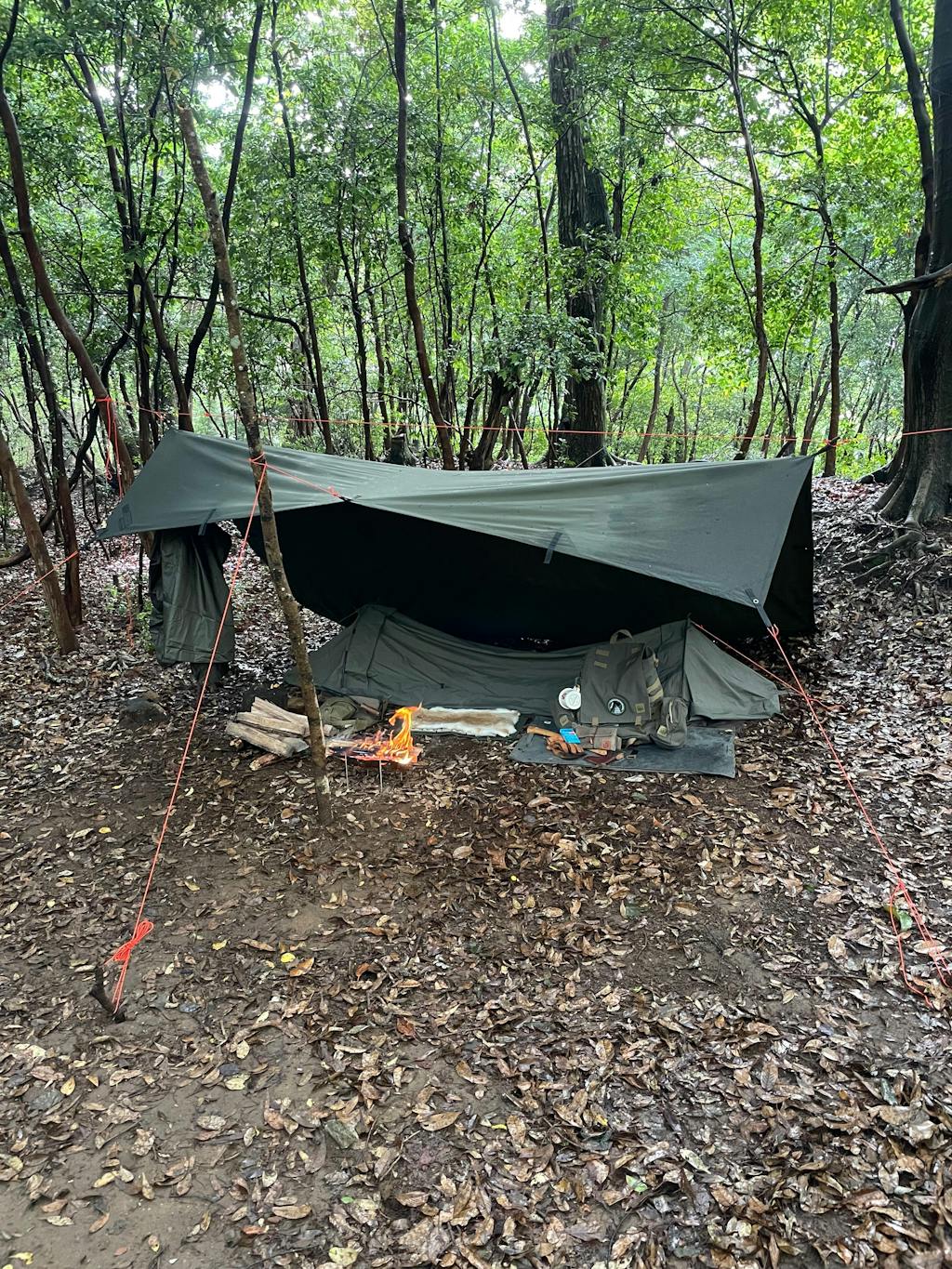 Micro Tent Plus