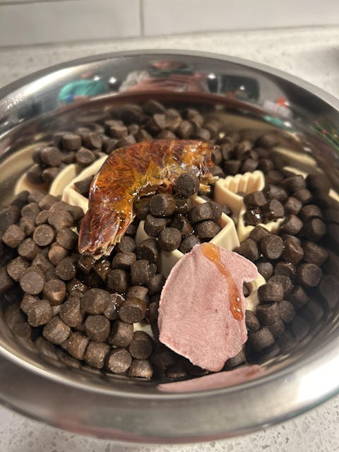 Carnivore Bites - Goat Tongue Slices