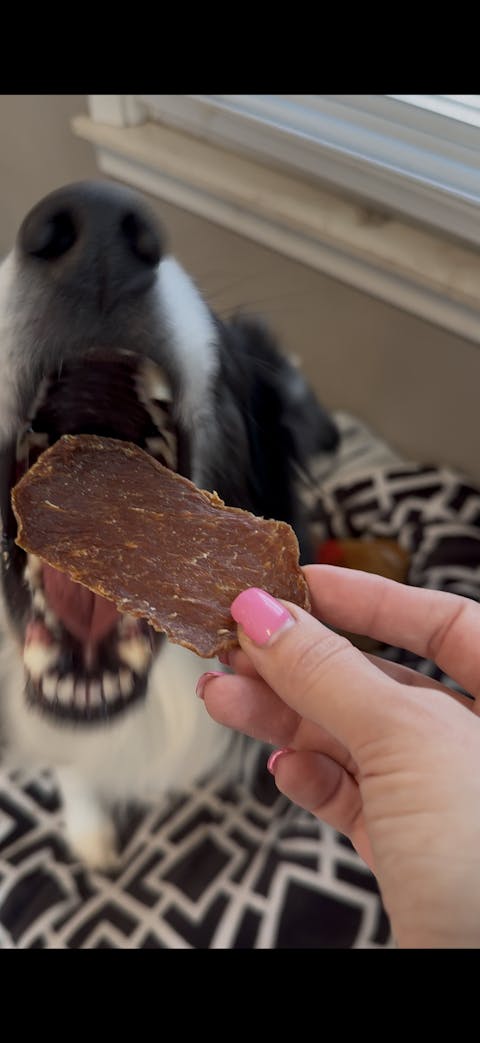 Carnivore Chips - Pork Loin 4oz