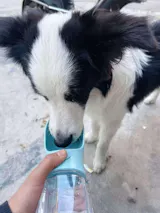 4-in-1 Portable Dog Water Bottle for Outdoor Travel