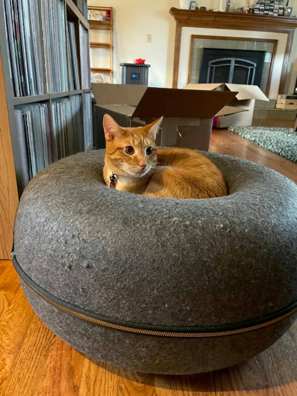 Cat Hideaway Cave Donut Bed — Cat Culture Market
