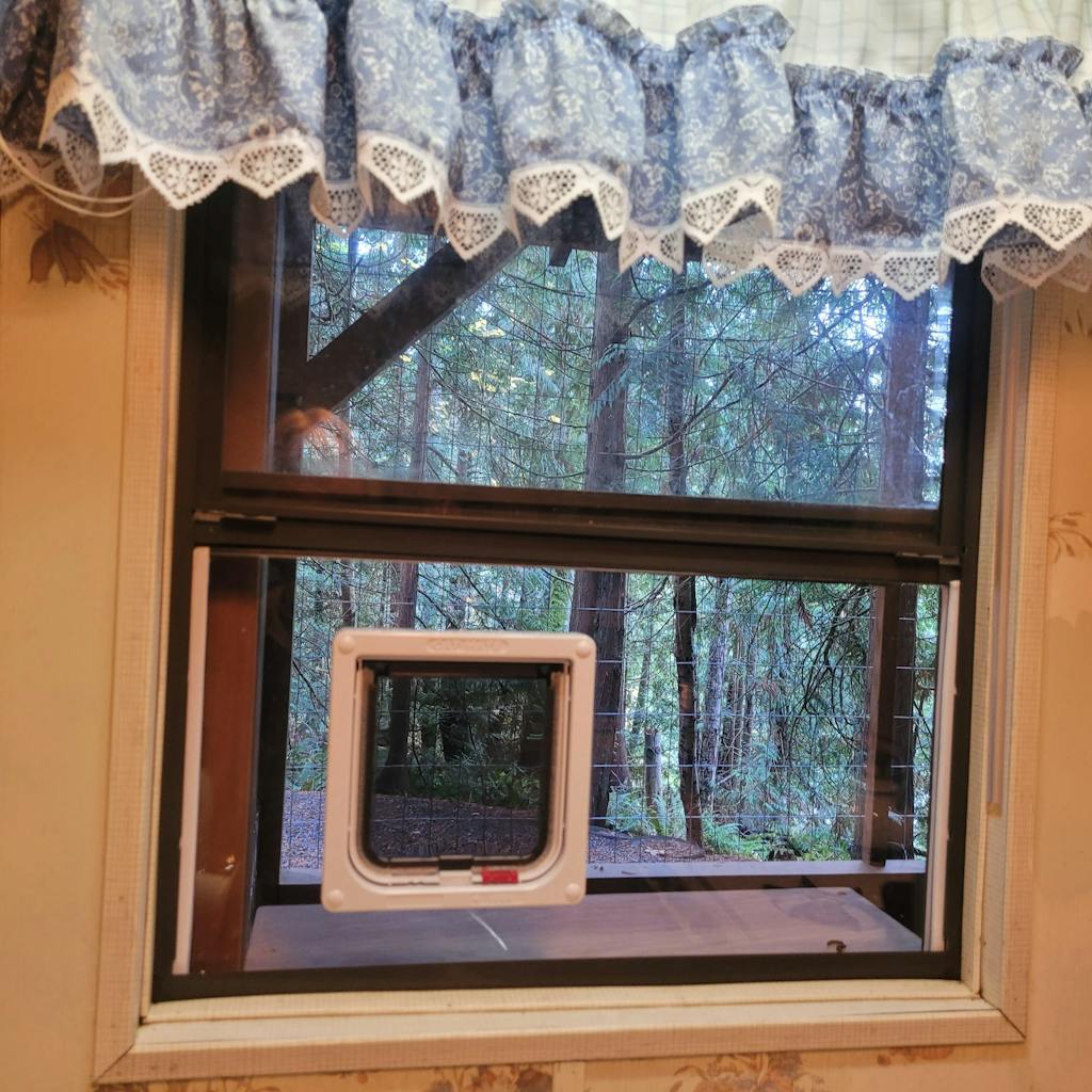 Cat Flap Fever Reviews The Original Cat Door Window Insert Cat Flap