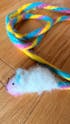 Catch a Mouse by the Tail - Wool Cat Toy