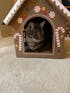 Cardboard Gingerbread Cat Playhouse Kit