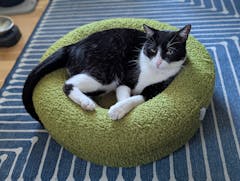 Review picture Review picture