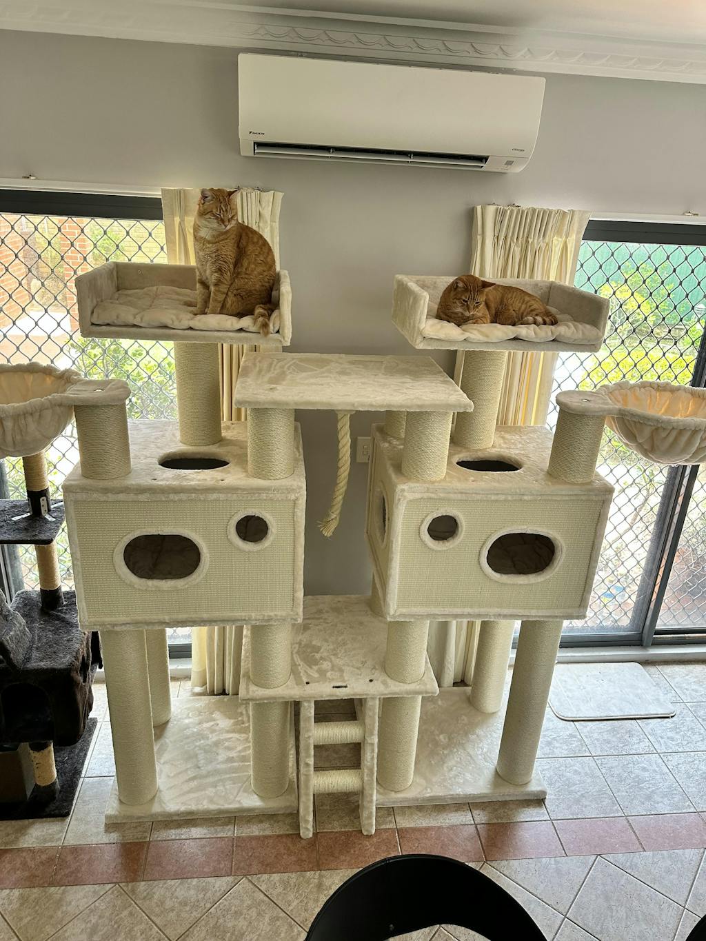 Cat Tree for large cats Tiger (Beige) CatTreeKing USA