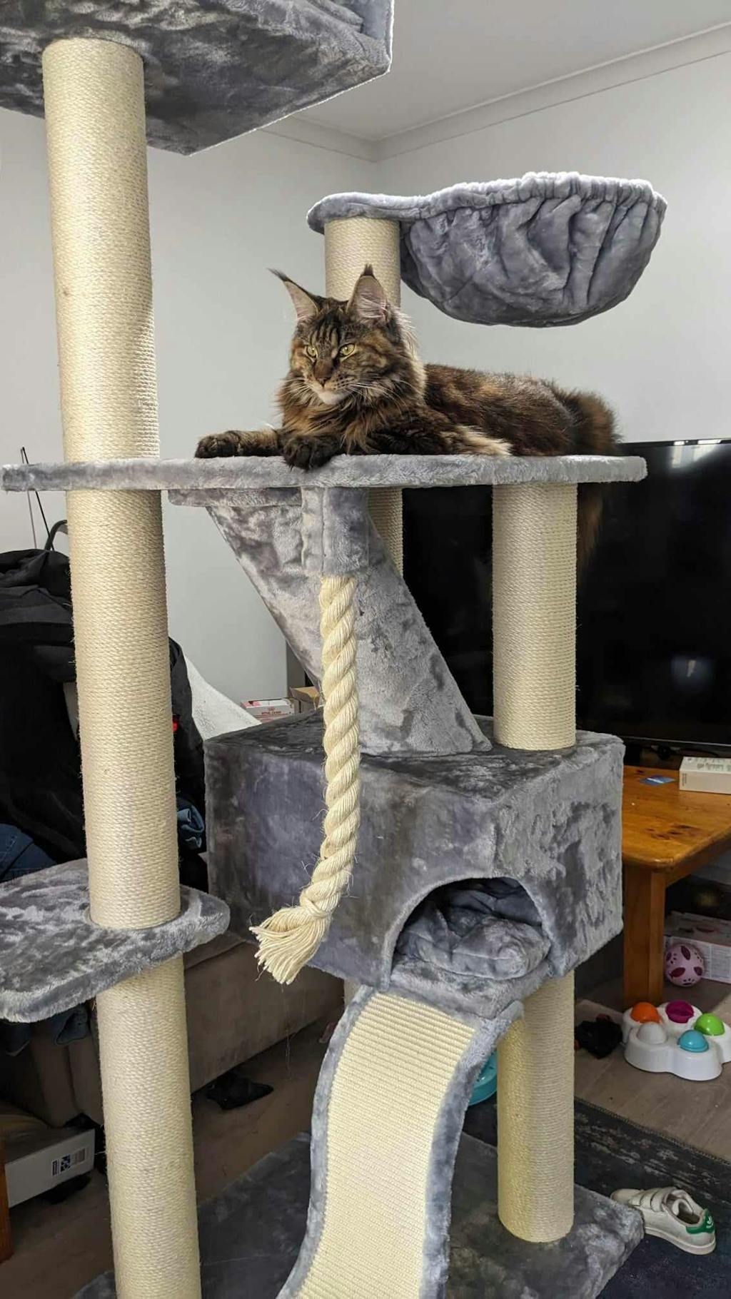 Cat Tree for large cats Cat Mansion (Light Grey) CatTreeKing Australia