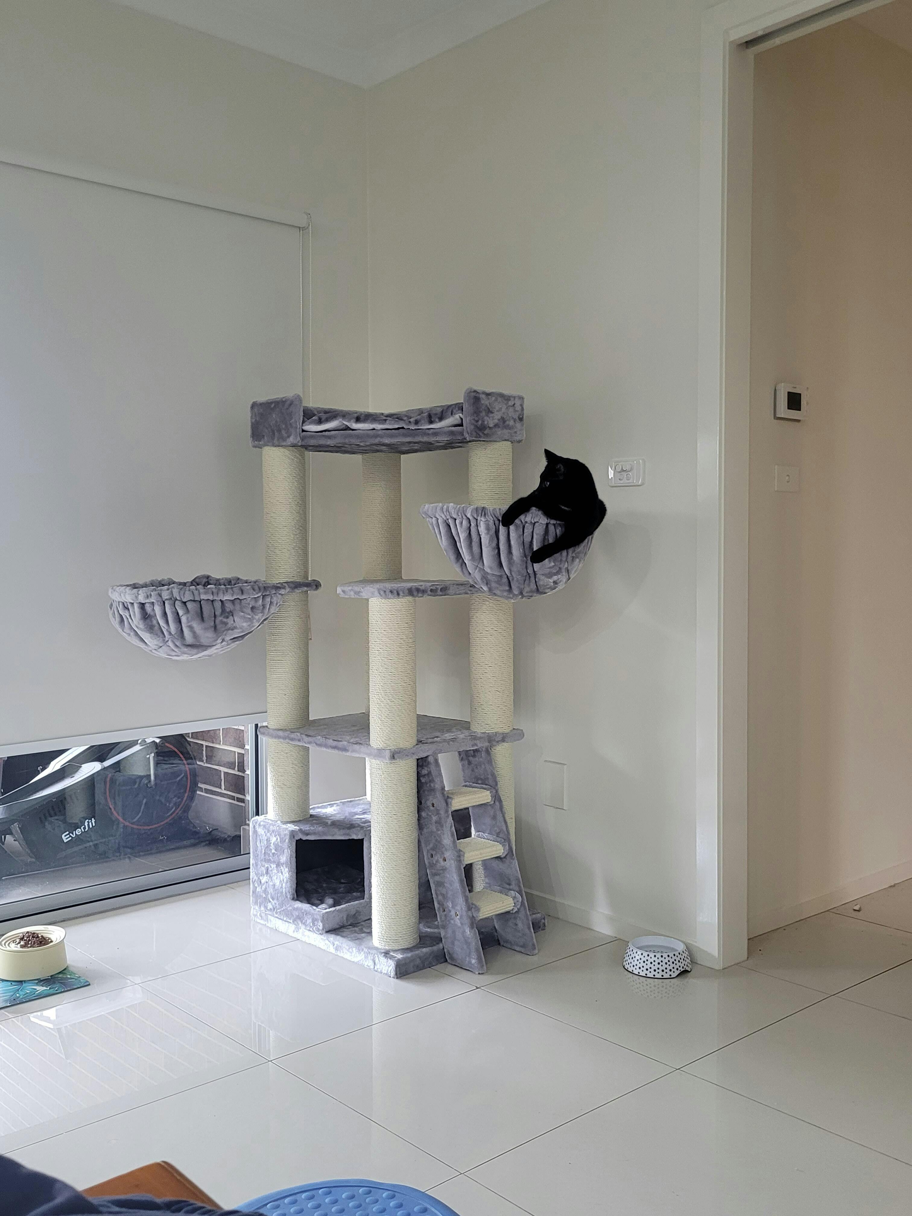 Cat Tree for large cats Corner Cat XXL (Light Grey) CatTreeKing USA