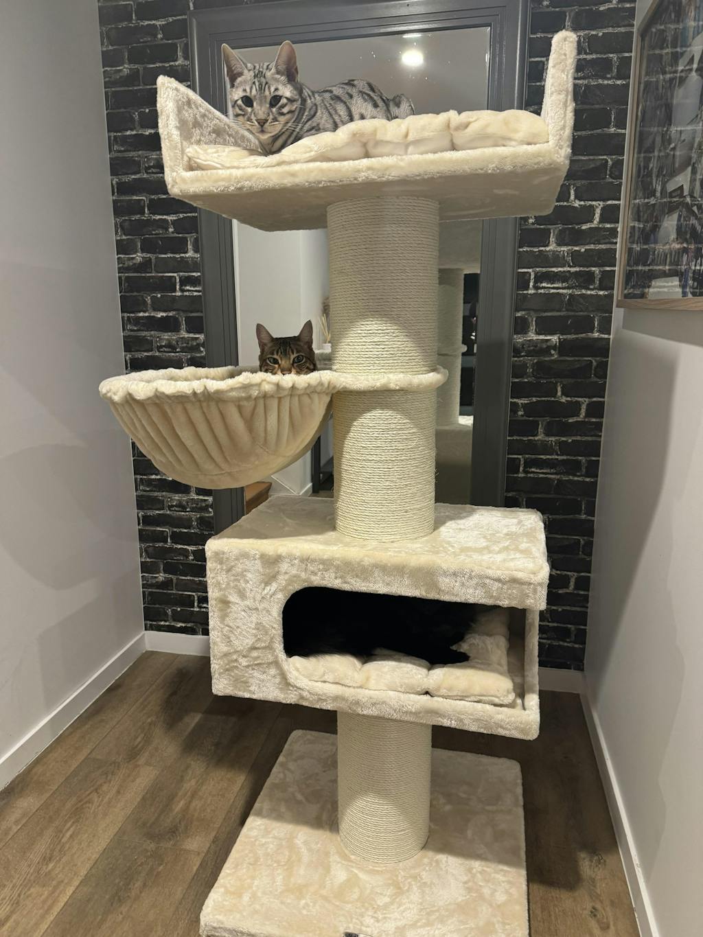 Cat Tree Furry Bengal (Forest Green) Cat Tree for cats from RHR Pets